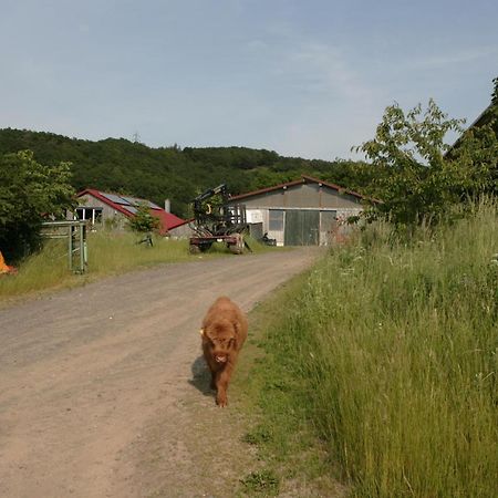 Apartamento Rech Hof Urlaub Auf Dem Bauernhof Schalkenbach Exterior foto
