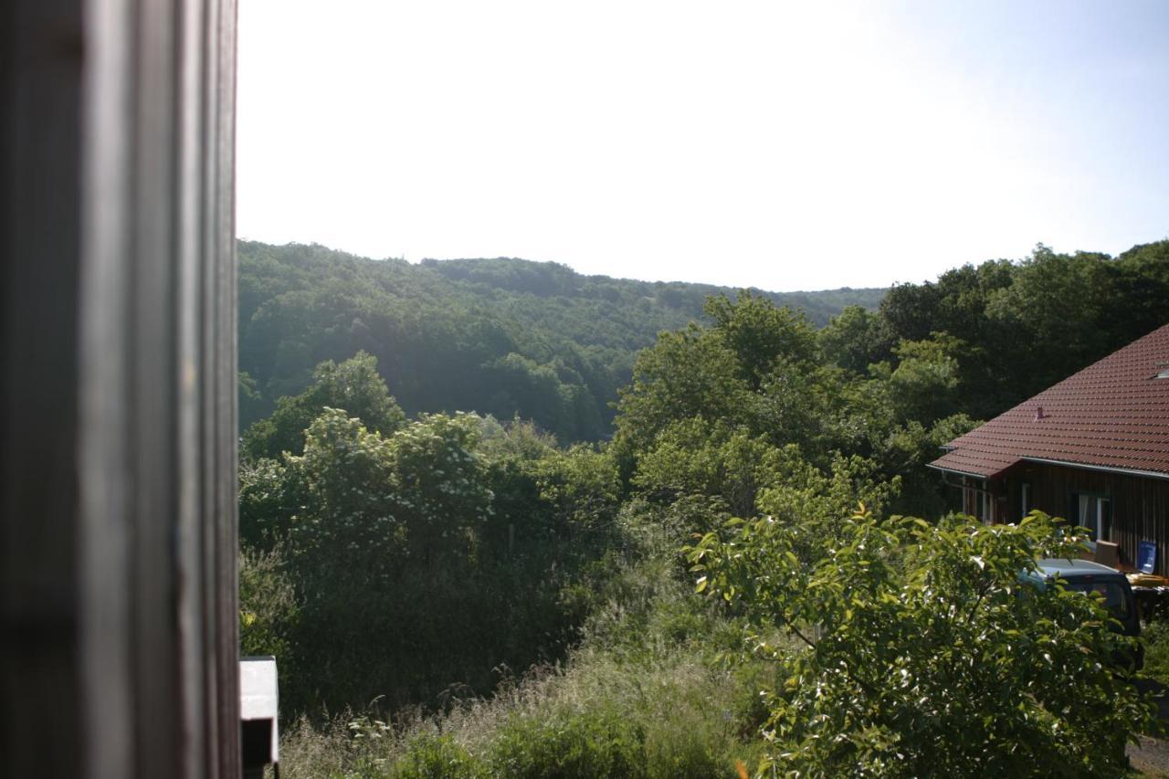 Apartamento Rech Hof Urlaub Auf Dem Bauernhof Schalkenbach Exterior foto