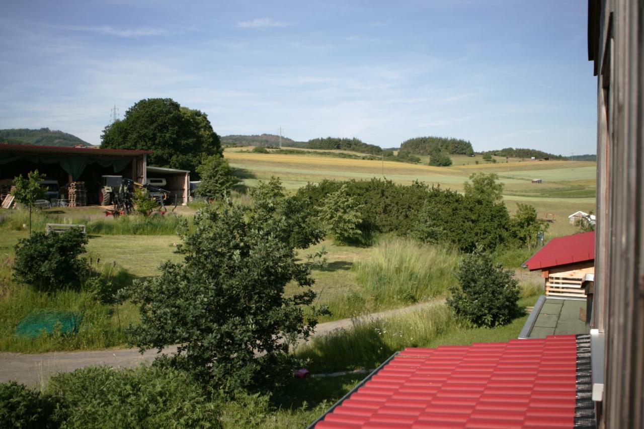 Apartamento Rech Hof Urlaub Auf Dem Bauernhof Schalkenbach Exterior foto