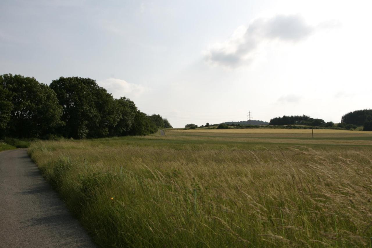 Apartamento Rech Hof Urlaub Auf Dem Bauernhof Schalkenbach Exterior foto