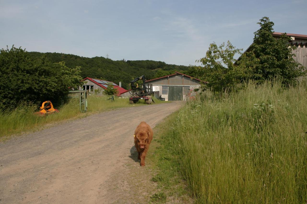 Apartamento Rech Hof Urlaub Auf Dem Bauernhof Schalkenbach Exterior foto