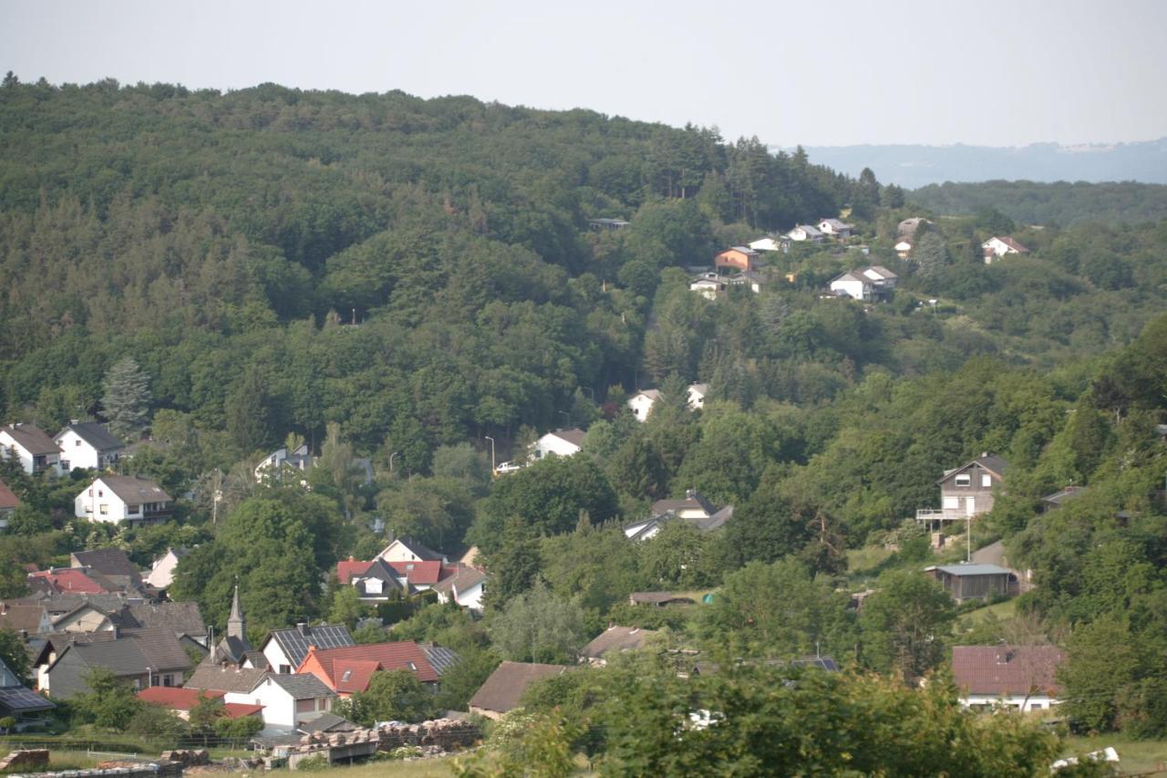 Apartamento Rech Hof Urlaub Auf Dem Bauernhof Schalkenbach Exterior foto